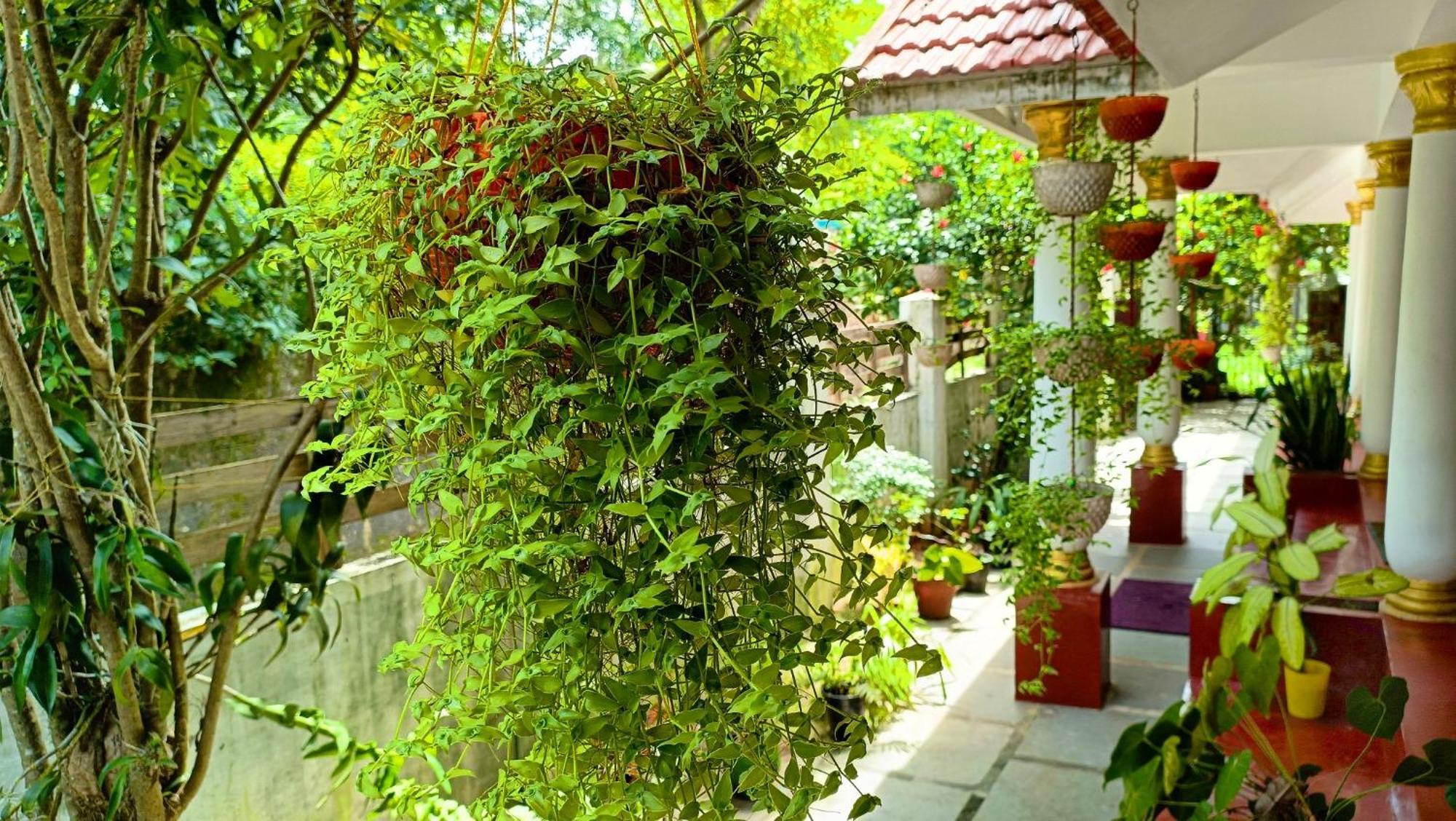 Marari Beach Cleetus Homestay 马拉利库兰 外观 照片
